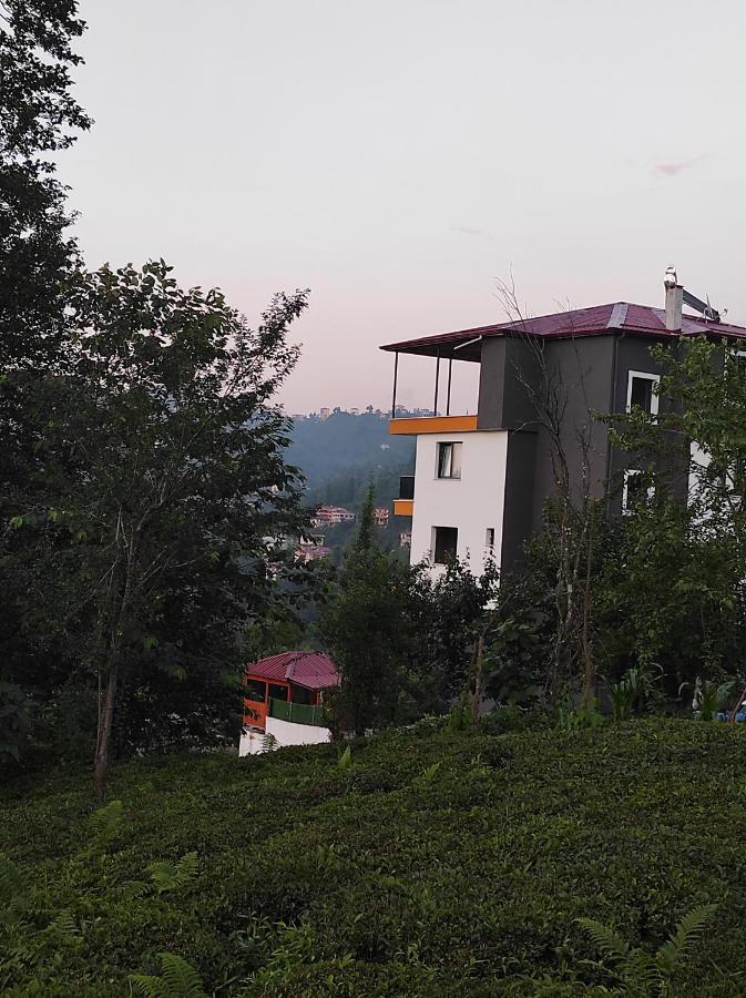 Sama House Villa